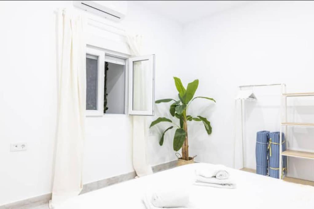 La Casa Del Mercader By Gades Gestion كاديز المظهر الخارجي الصورة